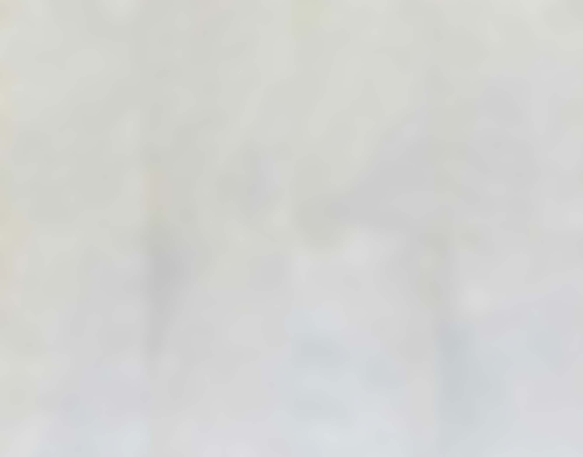 [In Transit] Monte Carlo 004  *Partial Shipment*